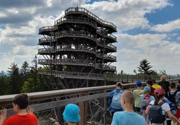 Niezapomniany spacer w koronach drzew - Wycieczka szkolna klasy 2a